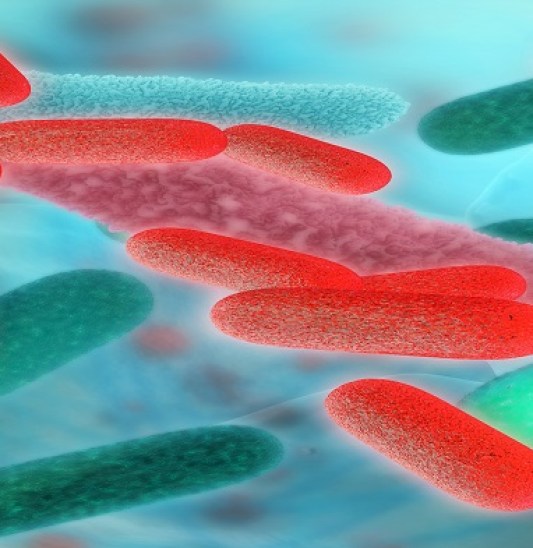 Bacteria - 3d rendered illustration