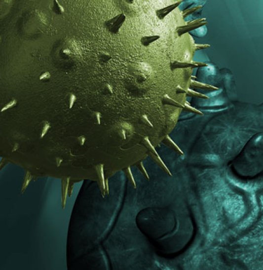 our_focus_oncology